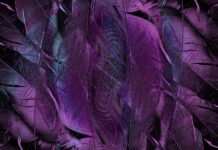 Czy fioletowy kolor jest modny?